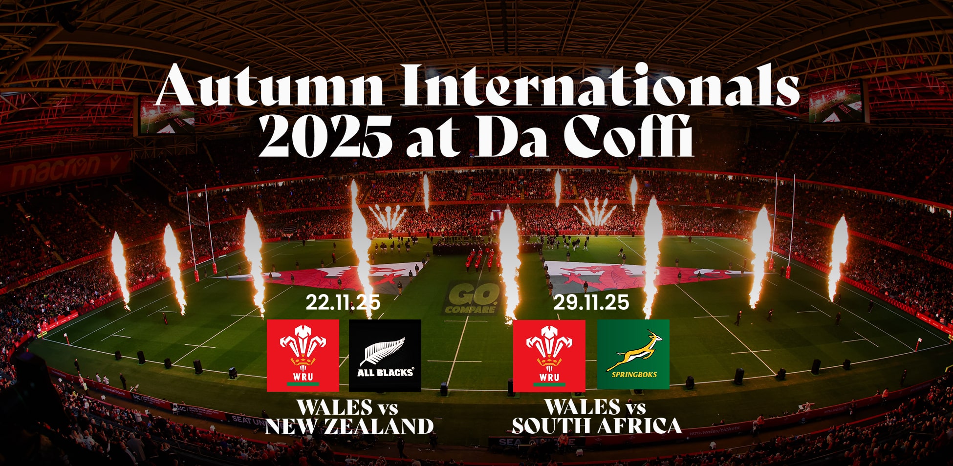 Autumn Internationals 2025 Image