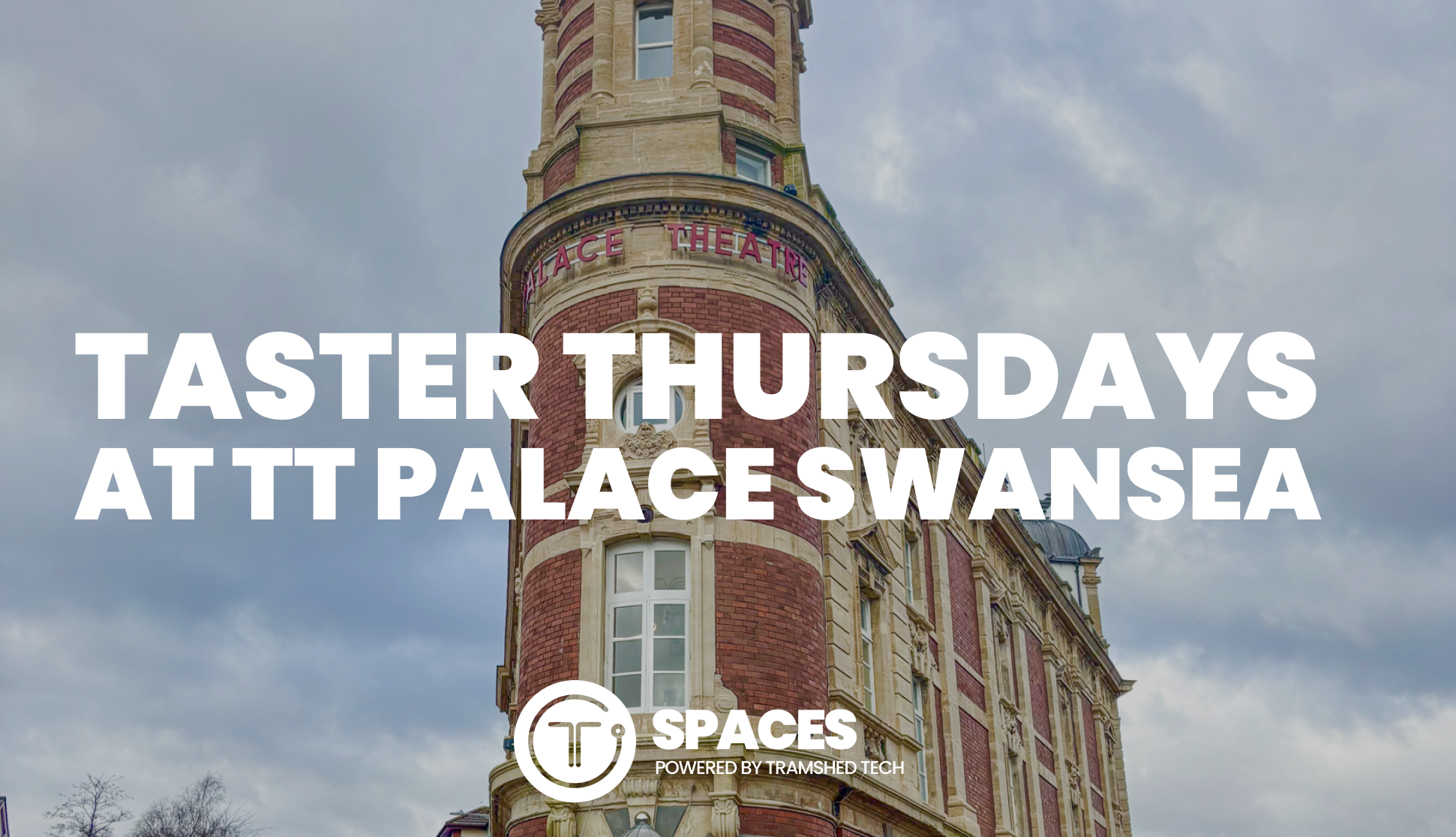 TT Swansea Palace Taster 26th February Image