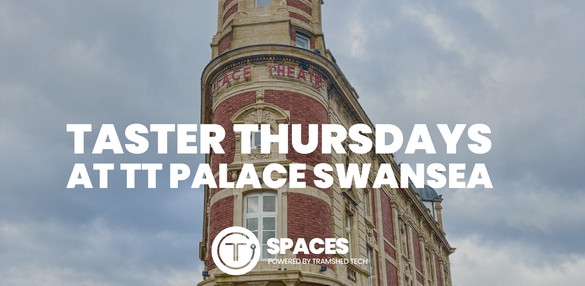 TT Swansea Palace Taster 27th Nov Image