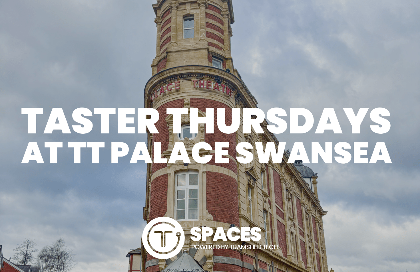 TT Swansea Palace Taster 27th Nov